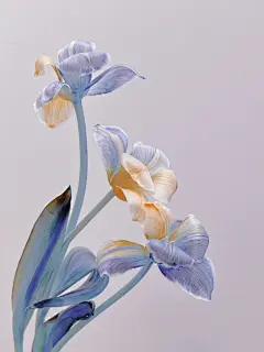 预发布站点、Now I Lay Me Down to Sleep All Over Print Men's T-Shirt、xsh-12345