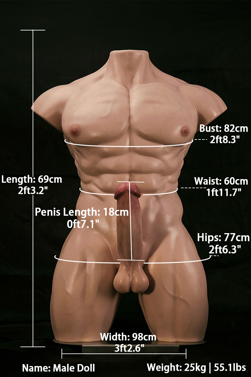 Male model with abs Torso - Nianta sex doll store