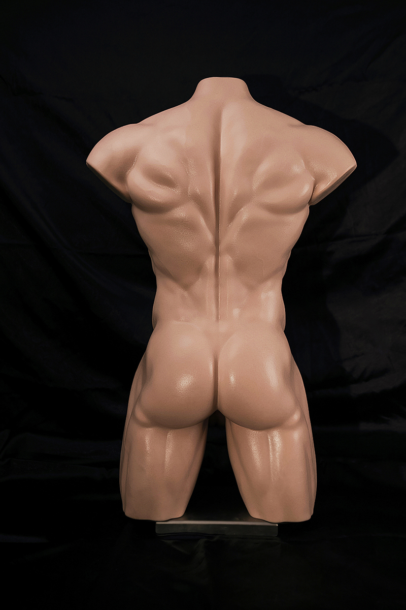 Male model with abs Torso - Nianta sex doll store