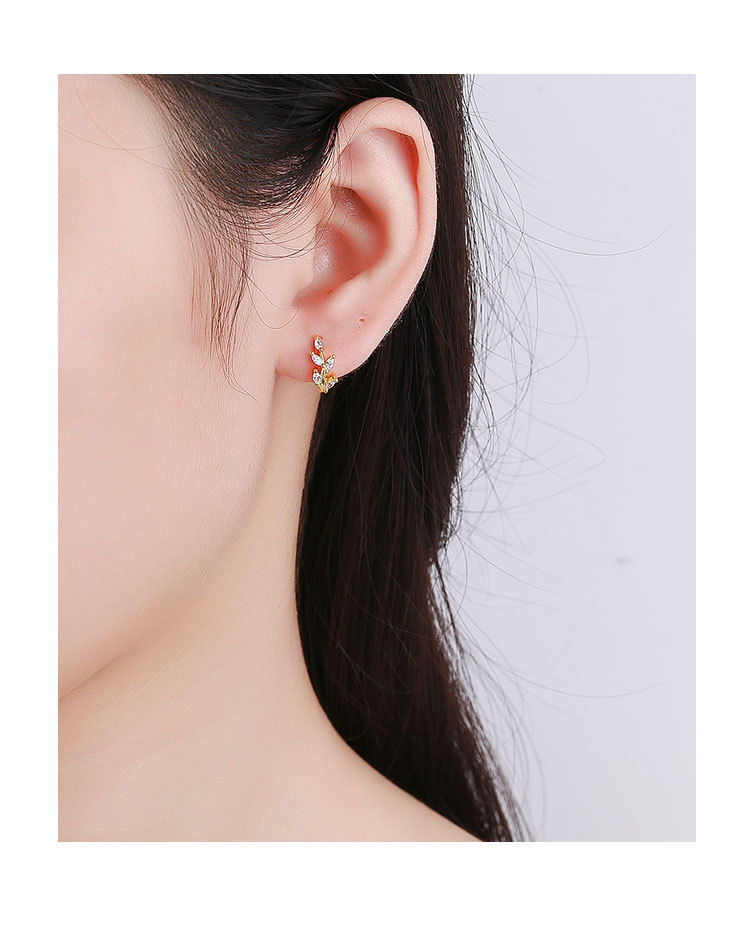 VELE #ED399 EARRINGS - VELE Official | Affordable Luxury Jewelry with Elegant Design