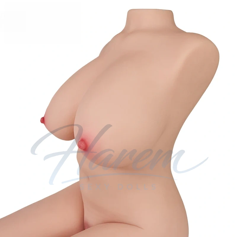 HAREM #P12 28.6LB REALISTIC SEX DOLL TORSOS - Harem sex doll