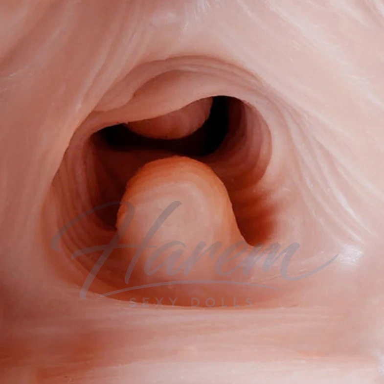 HAREM #P1 19.6LB REALISTIC SEX DOLL TORSOS - Harem sex doll