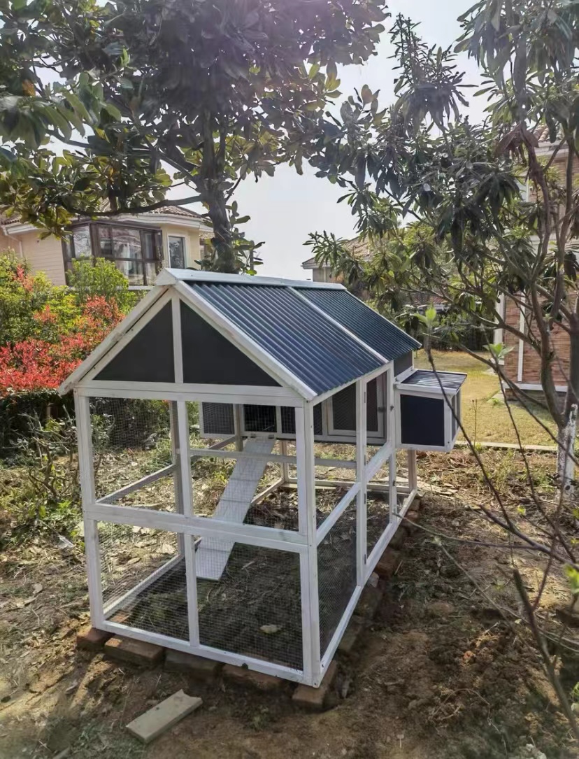 预发布站点、【Pet】Super Large Outdoor Wooden Chicken Coop/Poultry Cage/Pet House、mysite-12345