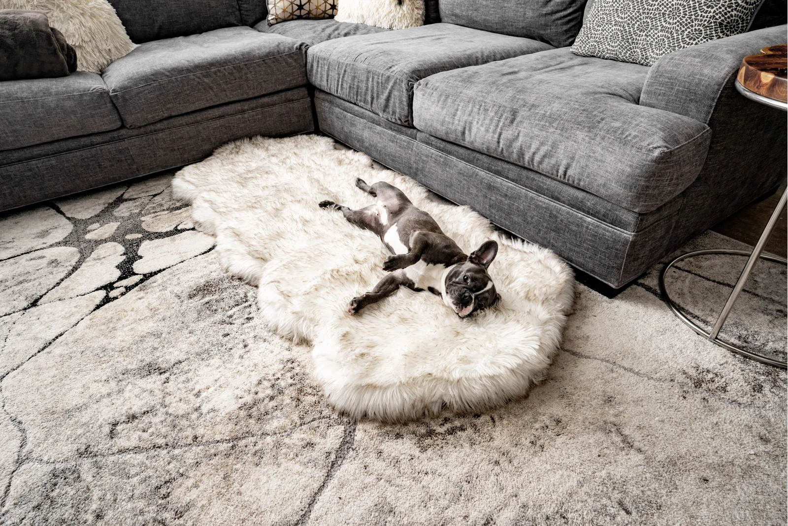 预发布站点、【Pet】Pretor Puprug Runner Faux Fur Memory Foam Dog Curve Mat、-12345