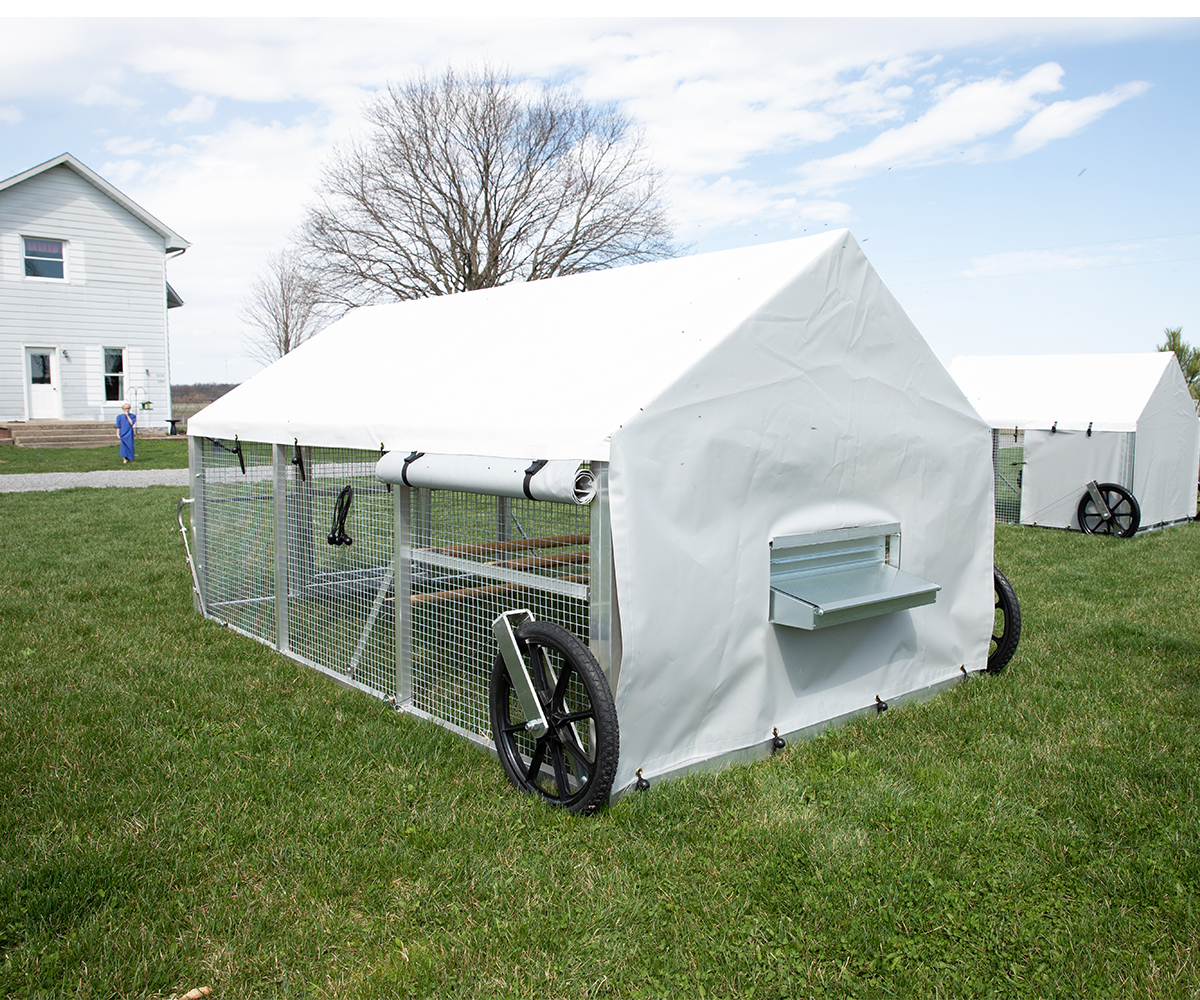 预发布站点、【Pet】Chicken Coop, 3mx4mLarge Metal Walk-in Poultry Cage Kennel with Waterproof Cover、mysite-12345