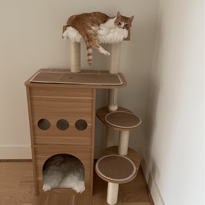 预发布站点、【Pet】47" Wooden Luxury Cat Tree、-12345