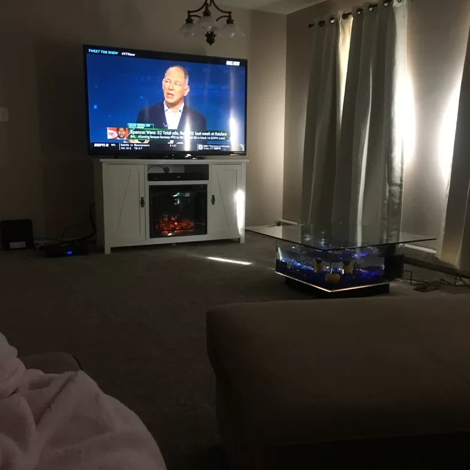 预发布站点、【Pet】Claire 25 Gallons Rectangle Alanrium Tank、-12345