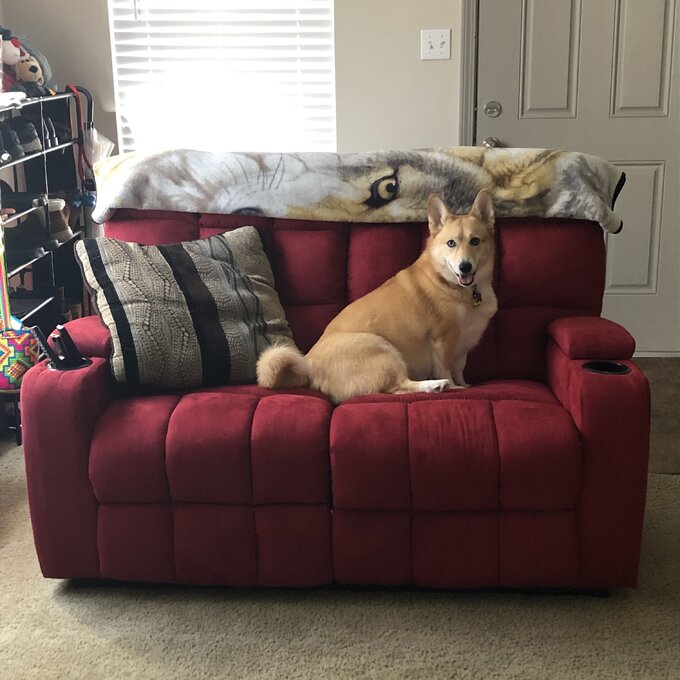 预发布站点、【Furniture】Grigor 57.5'' Wide Home Theater Loveseat with Cup Holder、-12345