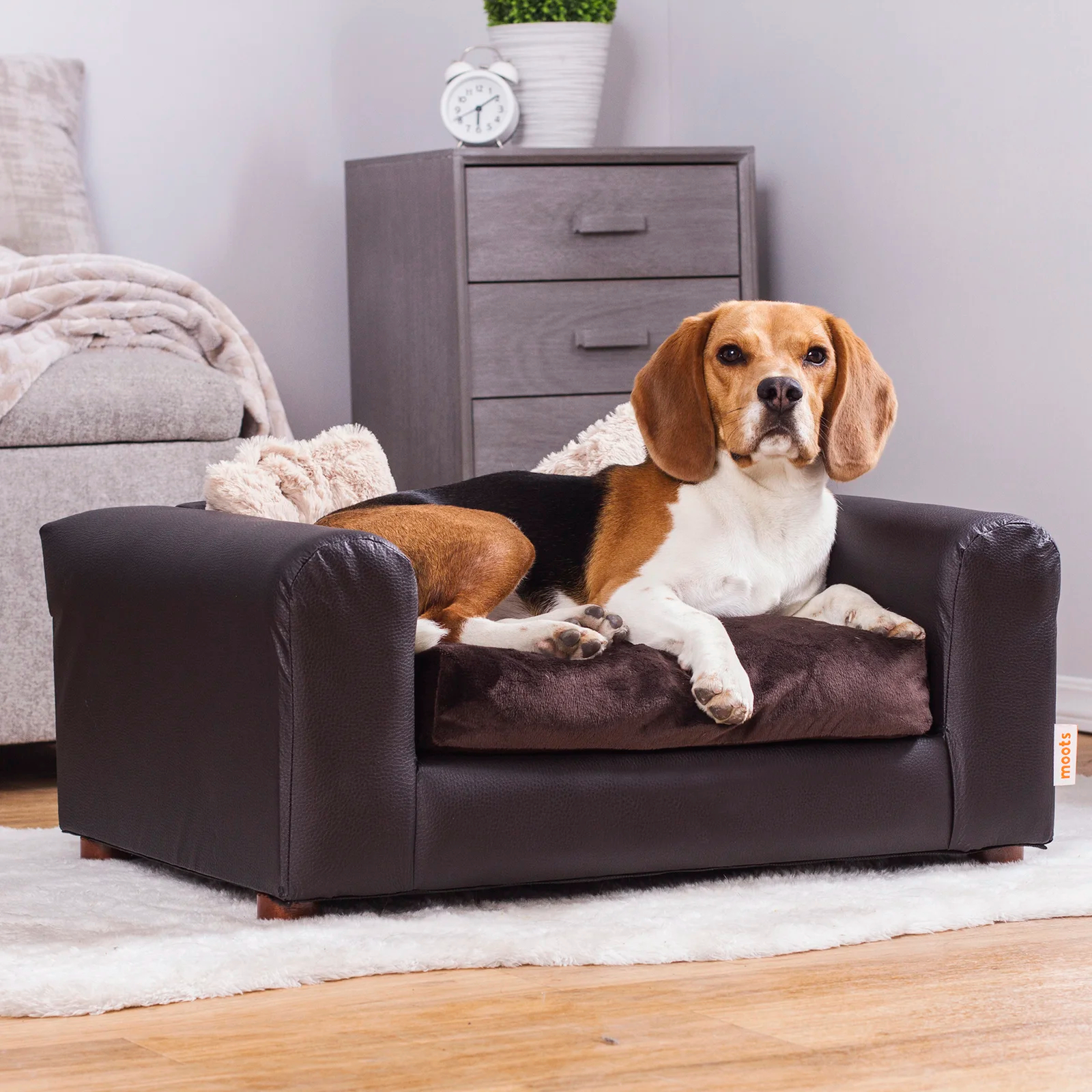 预发布站点、【Pet】Kayenta Premium Dog Sofa、-12345
