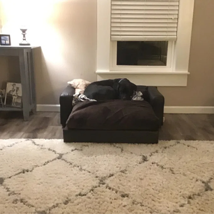 预发布站点、【Pet】Kayenta Premium Dog Sofa、-12345