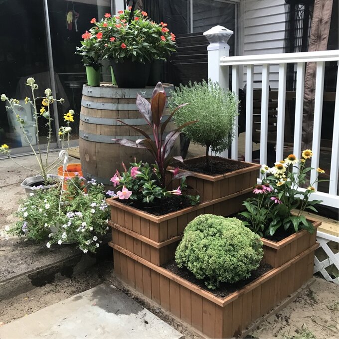 预发布站点、【Home&Garden】Gordonsville 2.5x2.5 ft Wood Raised Garden Bed、-12345