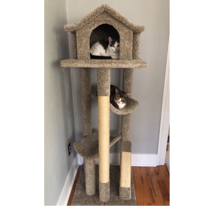 预发布站点、【Pet】66" Solid Wood Cat Tree、-12345