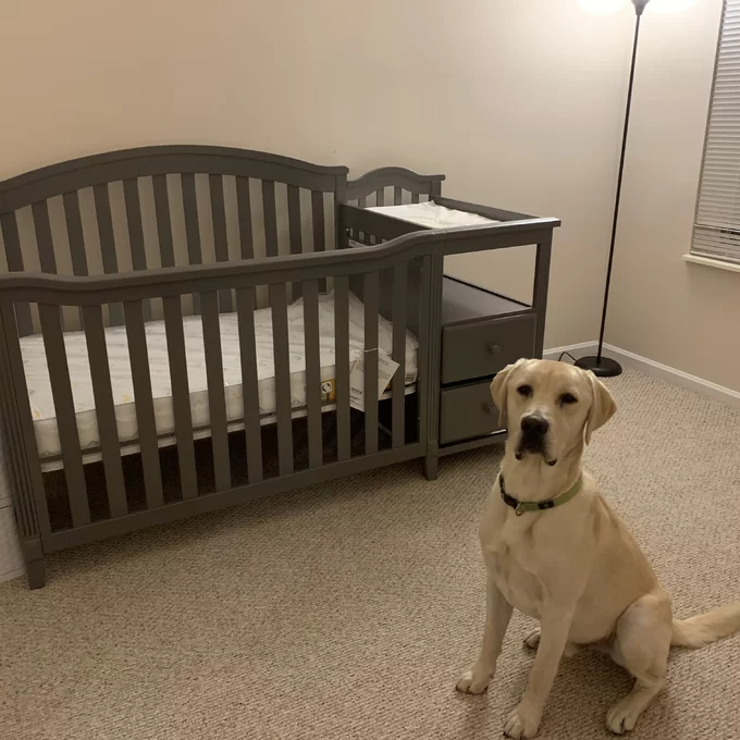 预发布站点、【Baby&Kids】Berkley 4-in-1 Convertible Crib and Changer、-12345