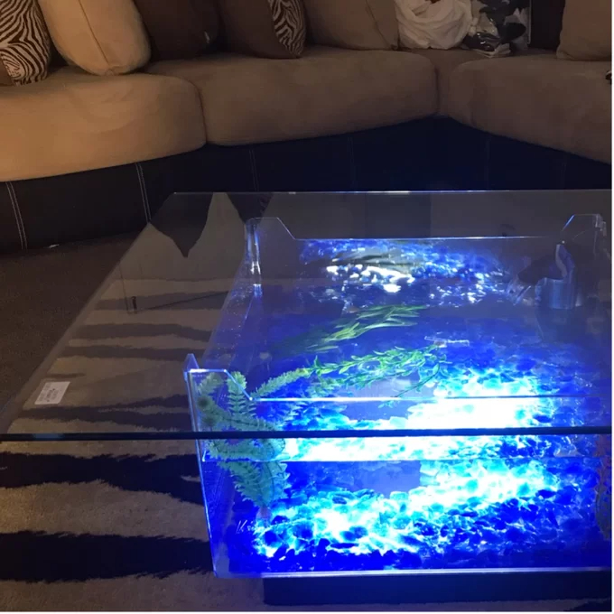 预发布站点、【Pet】Claire 25 Gallons Rectangle Alanrium Tank、-12345