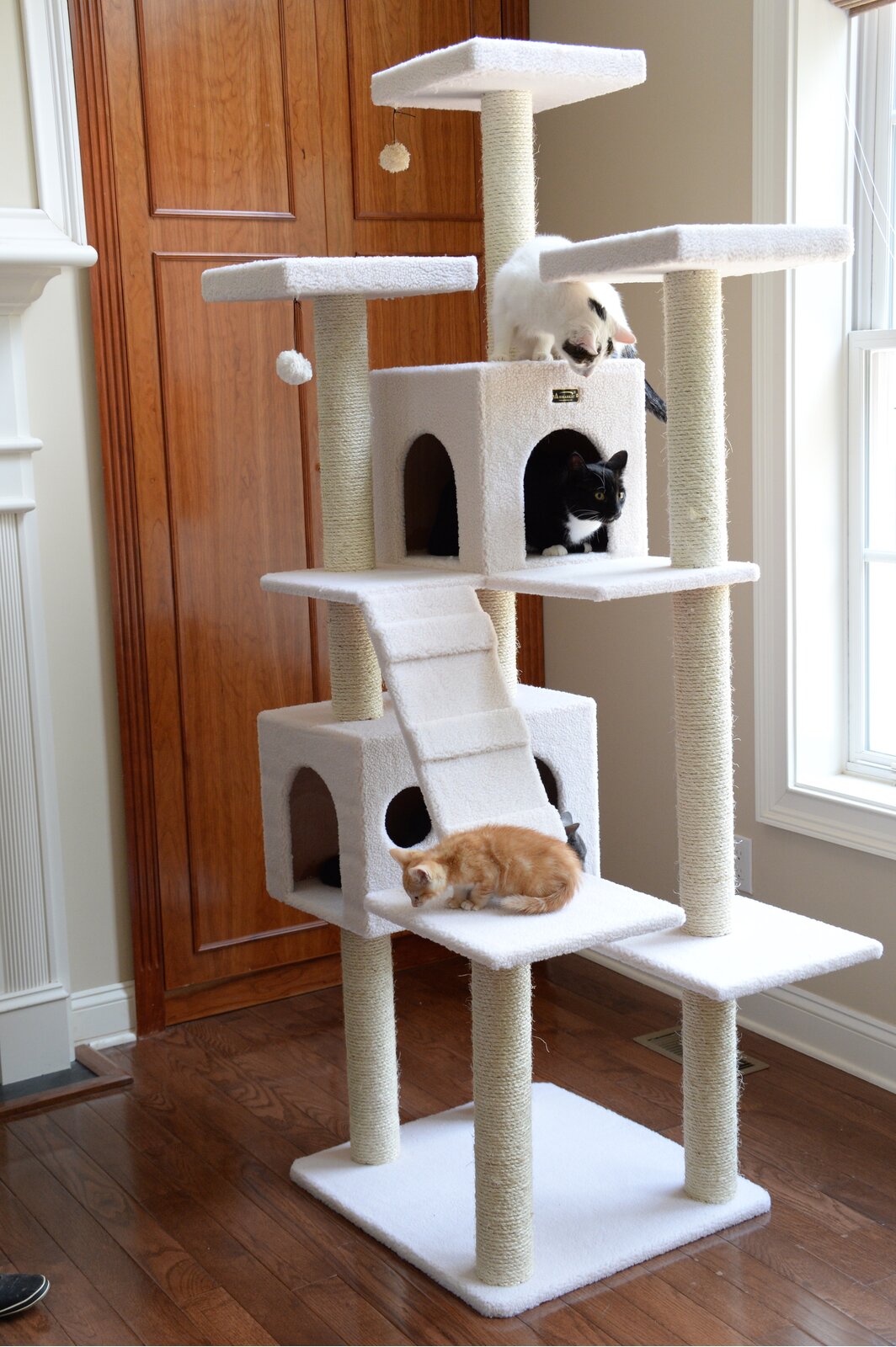 预发布站点、【Pet】77" Zuckerman Classic Real Wood Jackson Galaxy Approved Cat Tree、-12345