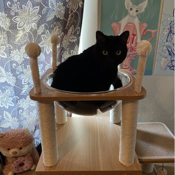 预发布站点、【Pet】52" Tavion Multi-level Cat Tree、-12345