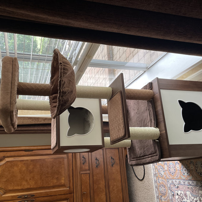 预发布站点、【Pet】59" Yinka Cat Tree or Condo、-12345