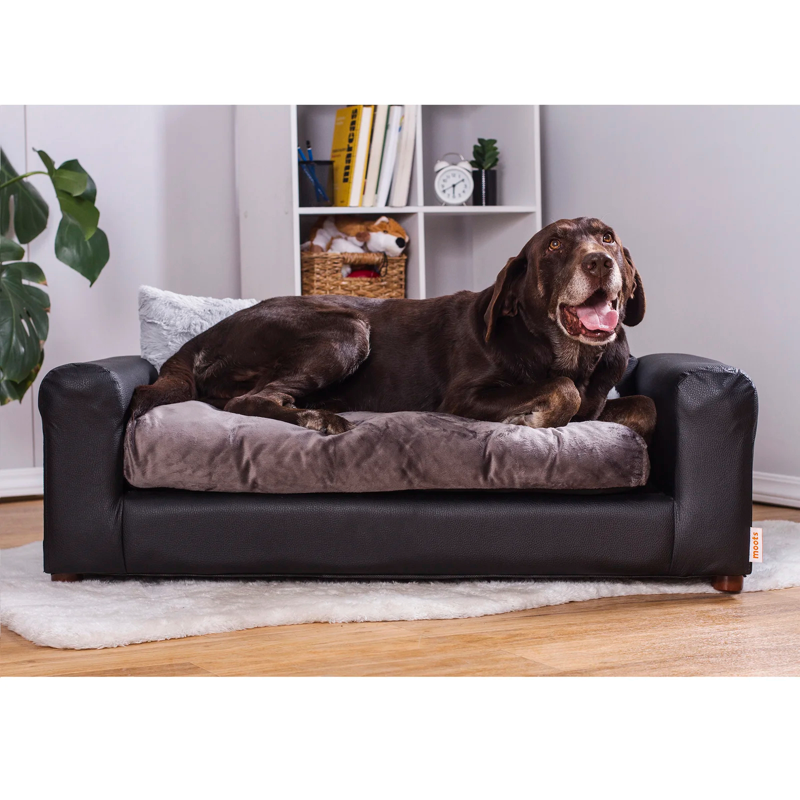 预发布站点、【Pet】Kayenta Premium Dog Sofa、-12345