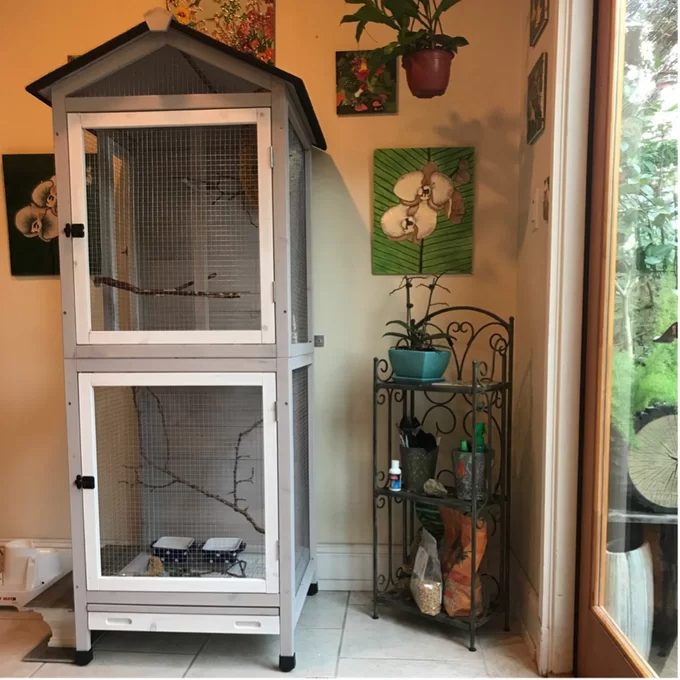 预发布站点、【Pet】Freddy 70'' Pointed Top Flight Cage with Stand、-12345