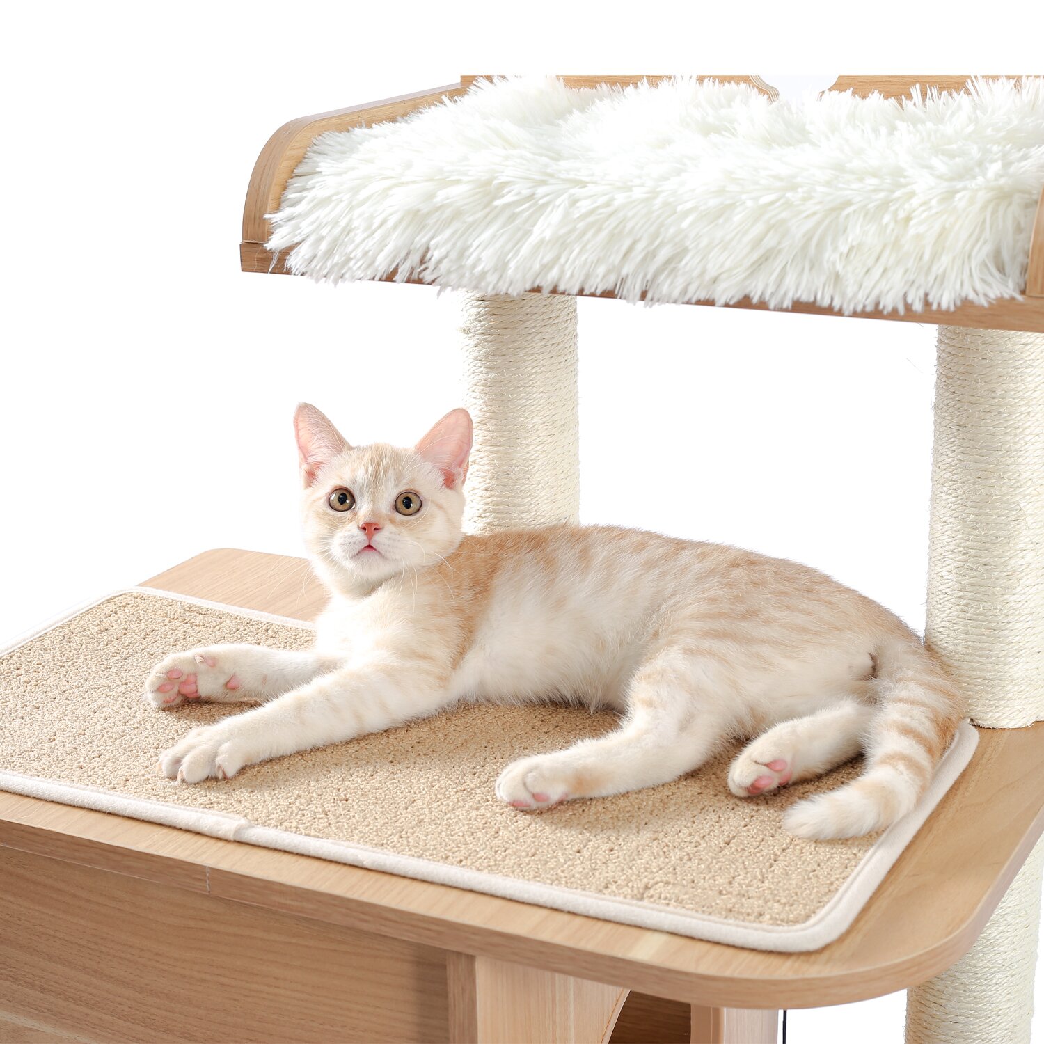 预发布站点、【Pet】47" Wooden Luxury Cat Tree、-12345