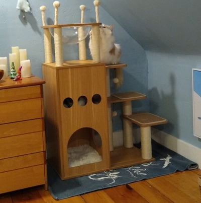 预发布站点、【Pet】52" Tavion Multi-level Cat Tree、-12345