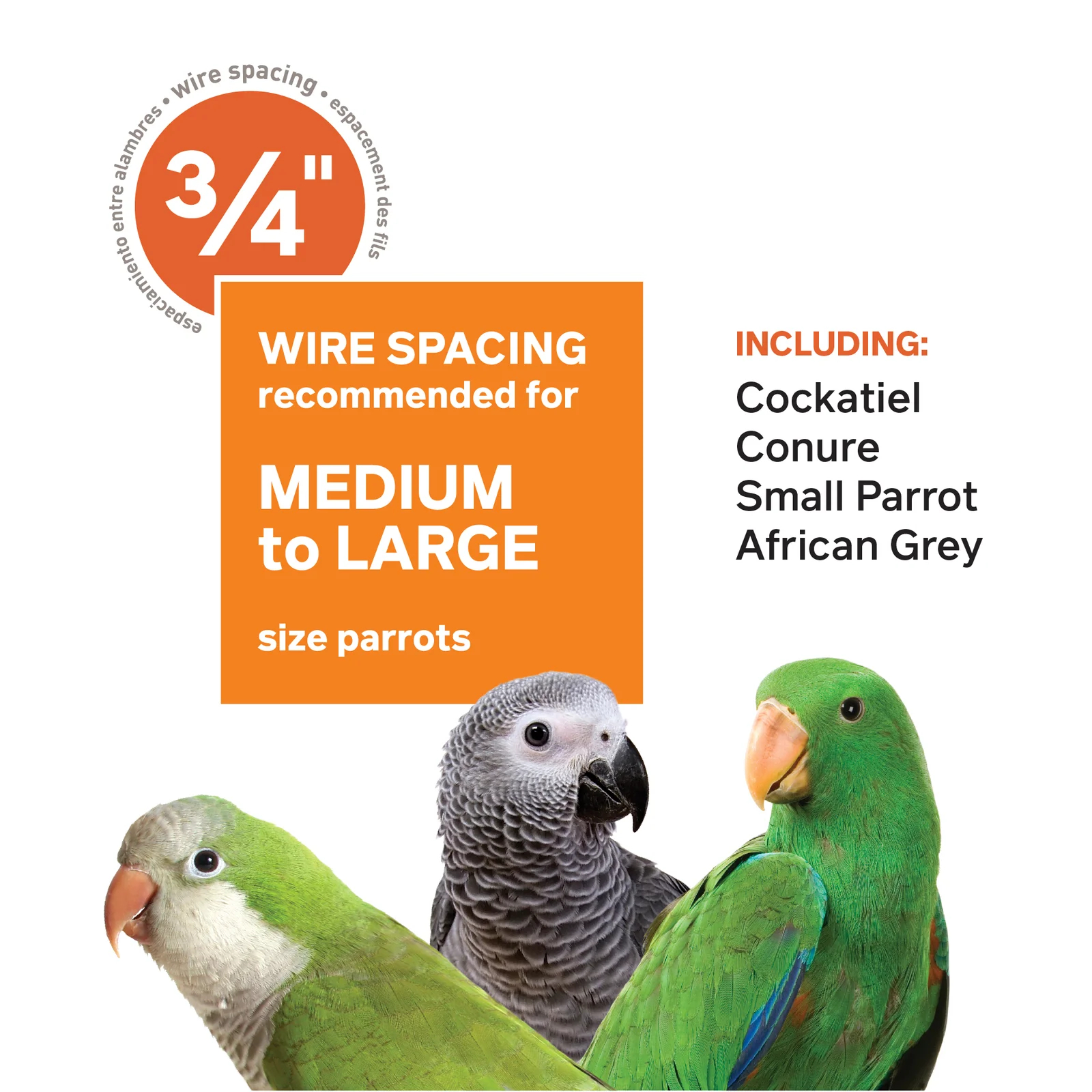 预发布站点、【Pet】Bremer Steel Play Top Floor Bird Cage with Wheels、-12345