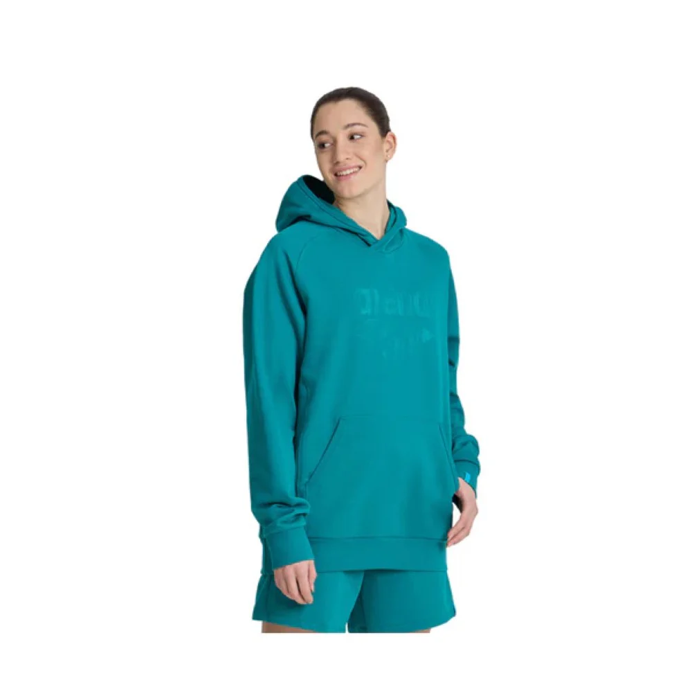 预发布站点、ARENA Hooded Sweat Logo、mysite-12345