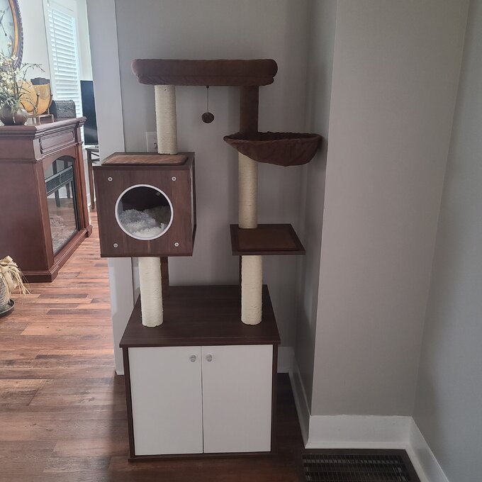 预发布站点、【Pet】59" Yinka Cat Tree or Condo、-12345
