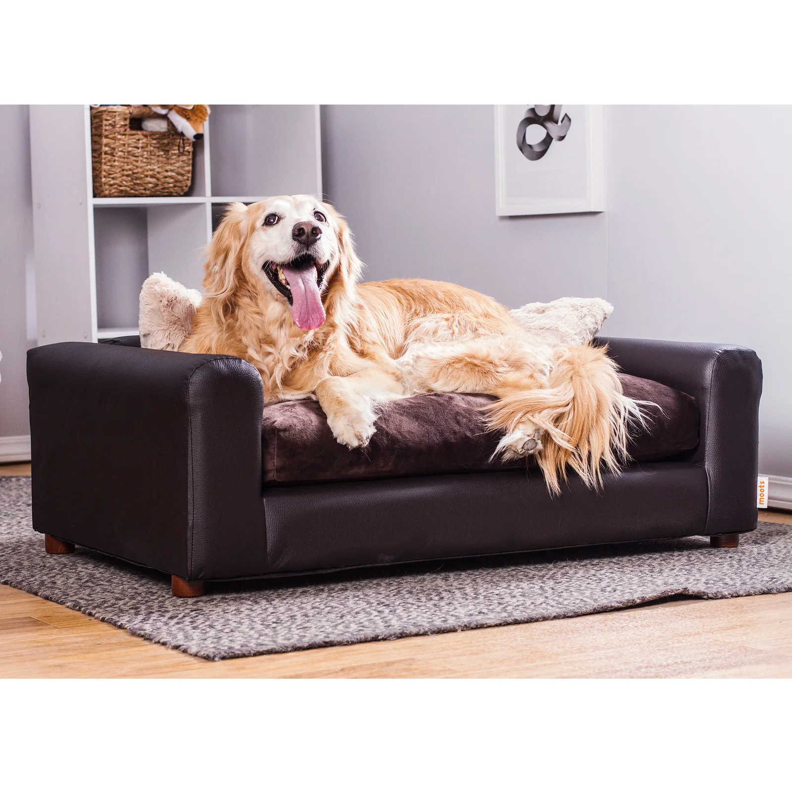 预发布站点、【Pet】Kayenta Premium Dog Sofa、-12345