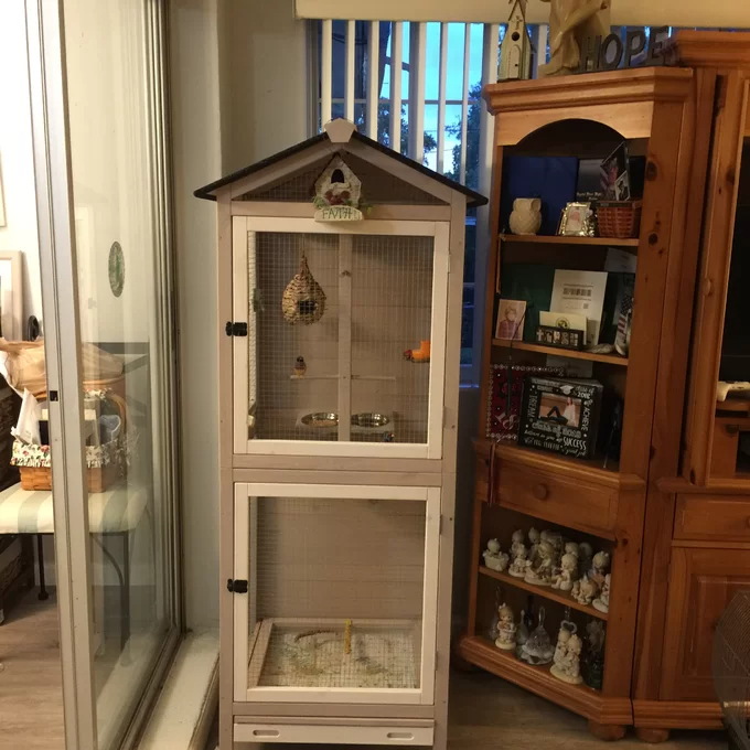 预发布站点、【Pet】Freddy 70'' Pointed Top Flight Cage with Stand、-12345