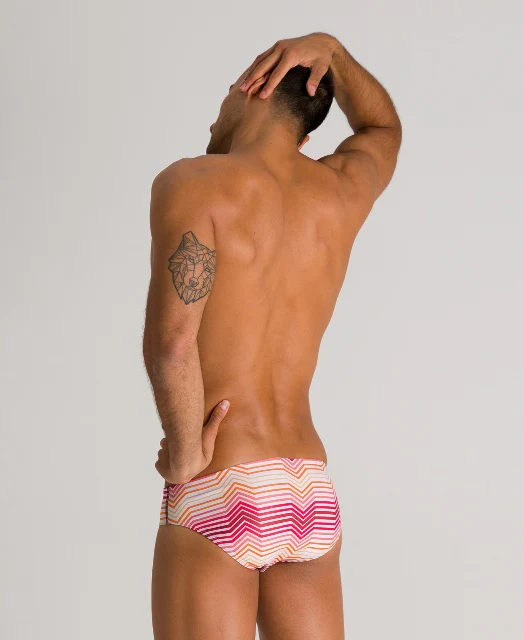 预发布站点、ARENA Multicolor Stripes Brief、mysite-12345