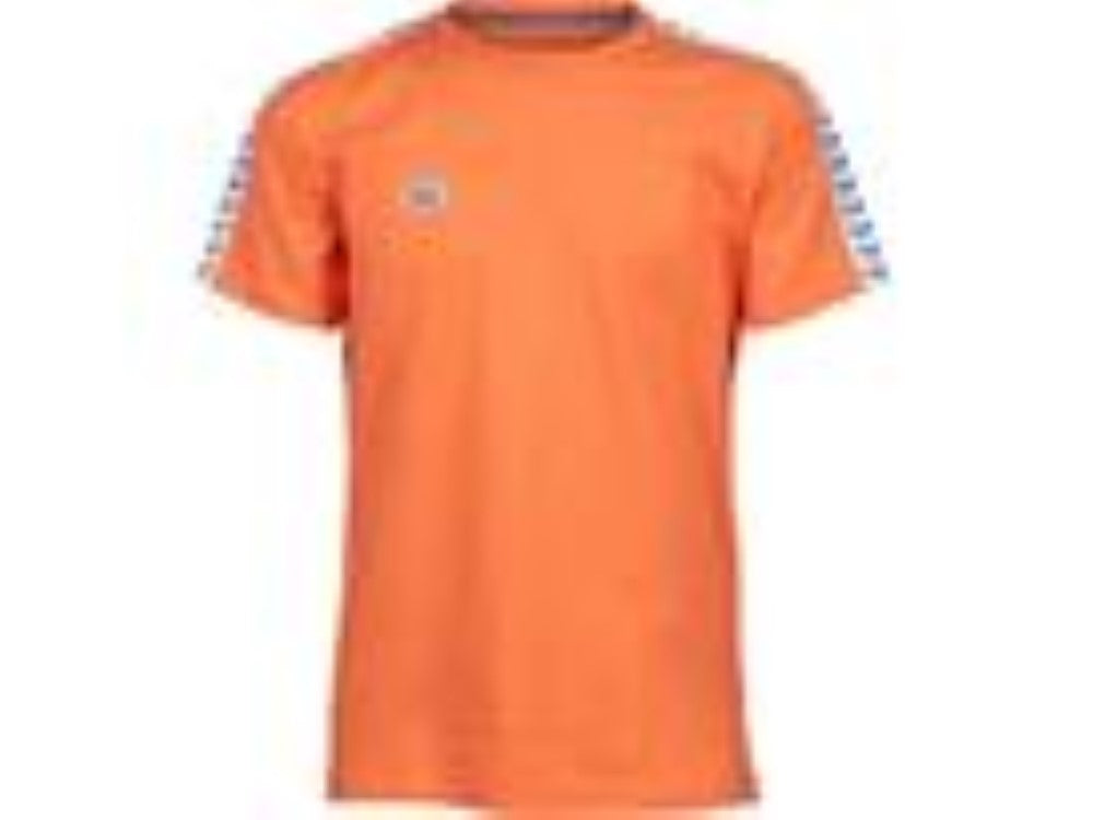 预发布站点、ARENA Men's Team T-Shirt、mysite-12345