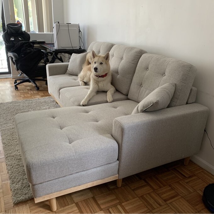 预发布站点、【Furniture】Jaheim 91'' Upholstered Sleeper Sofa、-12345