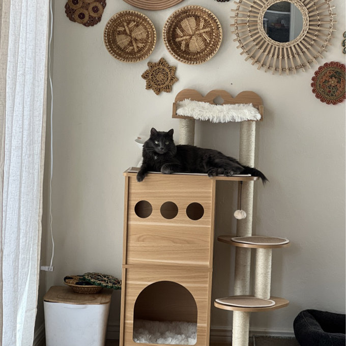 预发布站点、【Pet】47" Wooden Luxury Cat Tree、-12345