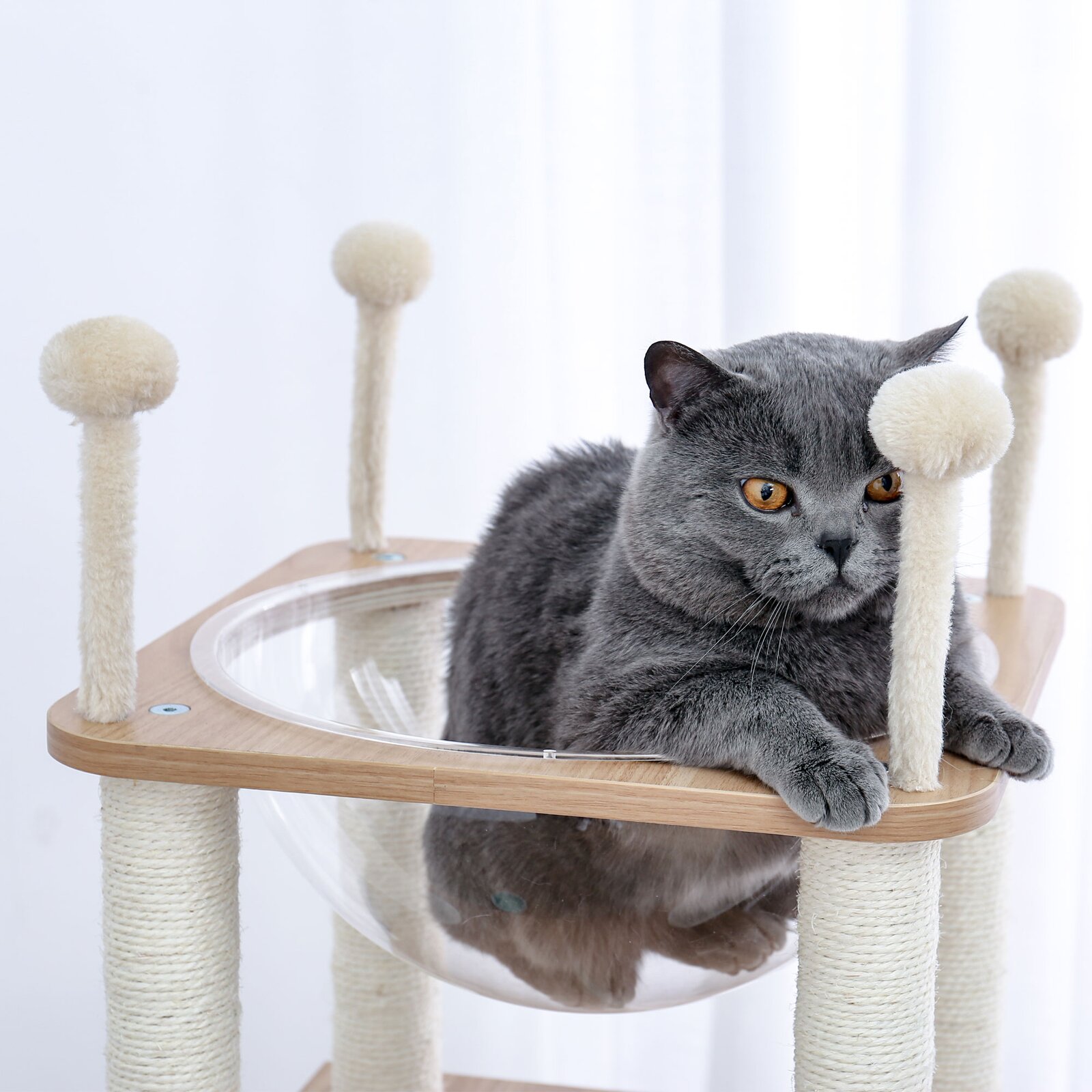 预发布站点、【Pet】52" Tavion Multi-level Cat Tree、-12345