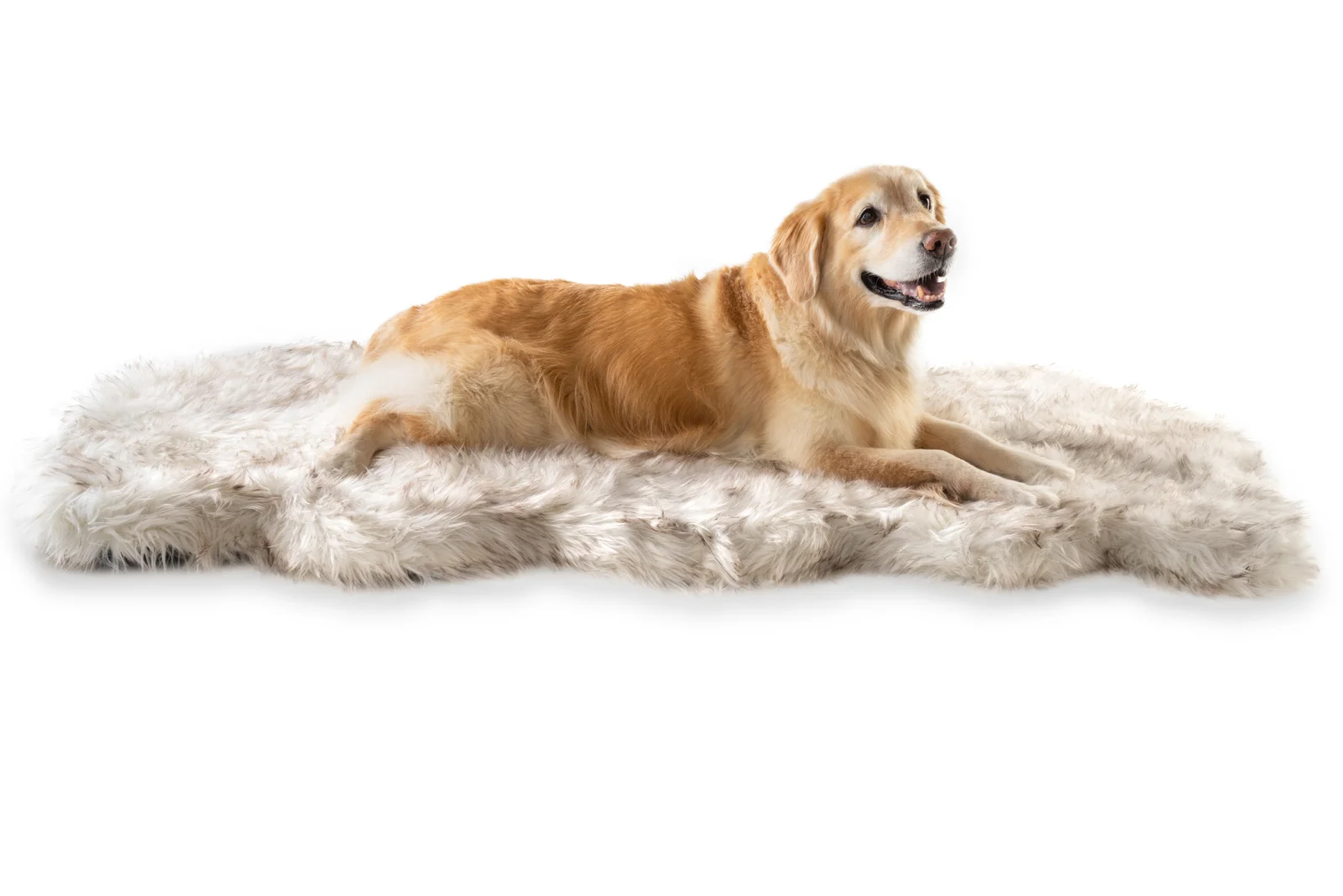 预发布站点、【Pet】Pretor Puprug Runner Faux Fur Memory Foam Dog Curve Mat、-12345