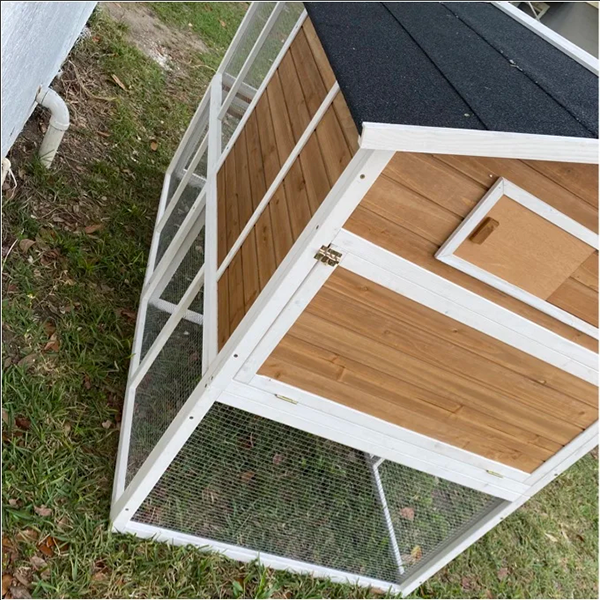 预发布站点、【Pet】Shanae Walk In Chicken Coop with Chicken Run For Up To 8 Chickens、mysite-12345