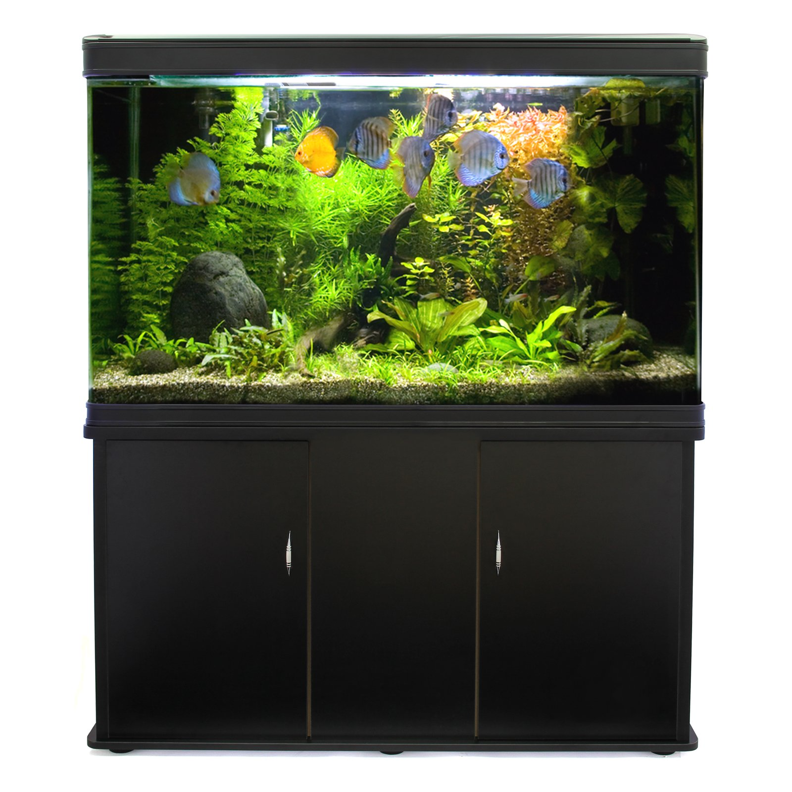 预发布站点、【Pet】【BS】Large Fish Tank Aquarium 4ft 300L Marine Tropical Salt Water Freshwater & Complete Starter Kit、mysite-12345