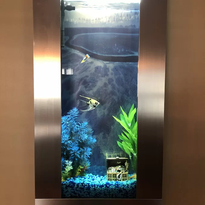 预发布站点、【Pet】Angelica 4 Gallon Rectangle Aquarium Tank、-12345