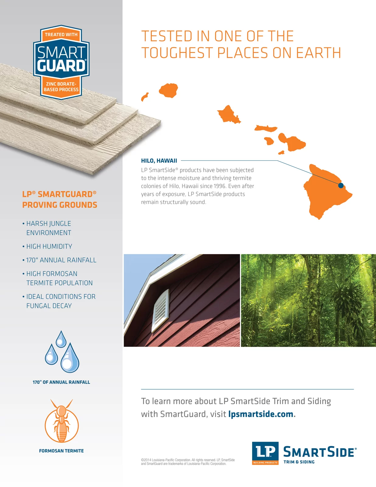 预发布站点、【Storage Shed】Colonial Pinehurst 10 ft. W x 12 ft. D Solid and Manufactured Wood Storage Shed、-12345