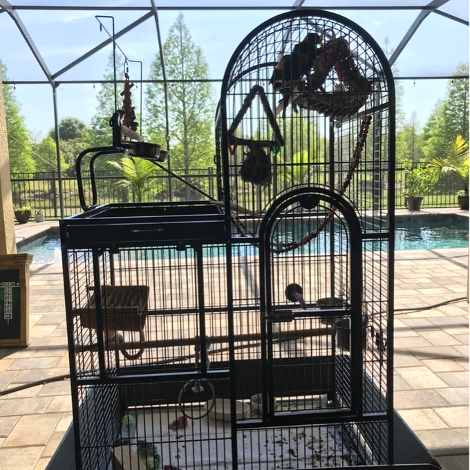 预发布站点、【Pet】Nickelson 66'' Steel Play Top Floor Bird Cage with Wheels、-12345