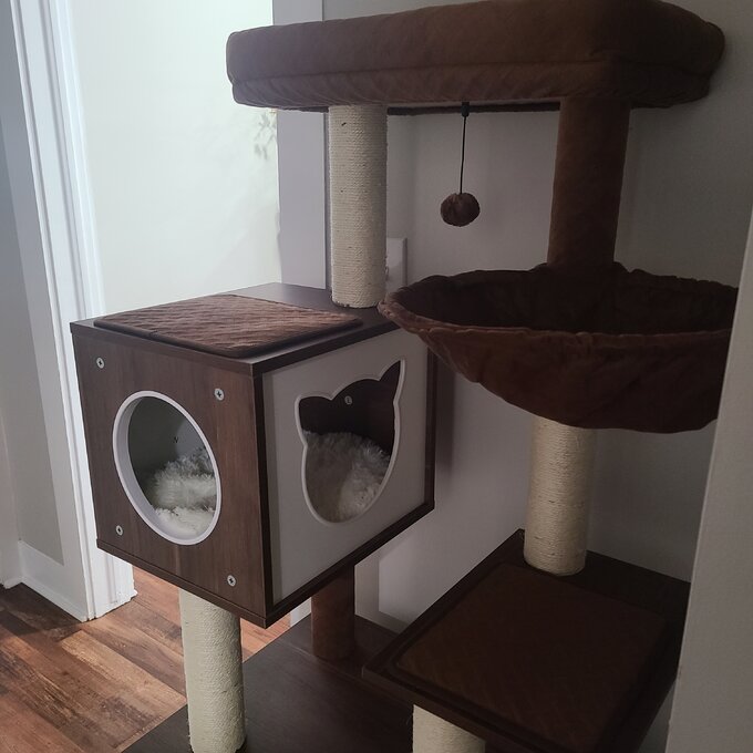 预发布站点、【Pet】59" Yinka Cat Tree or Condo、-12345