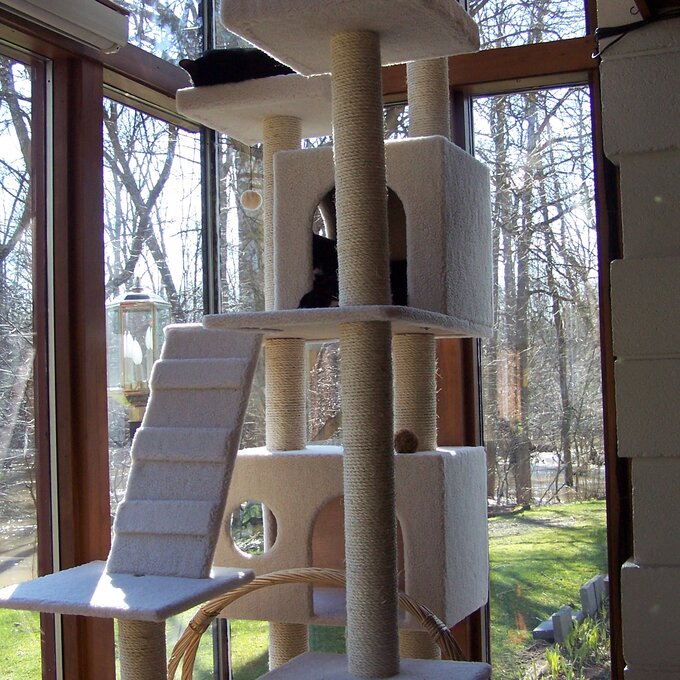 预发布站点、【Pet】77" Zuckerman Classic Real Wood Jackson Galaxy Approved Cat Tree、-12345