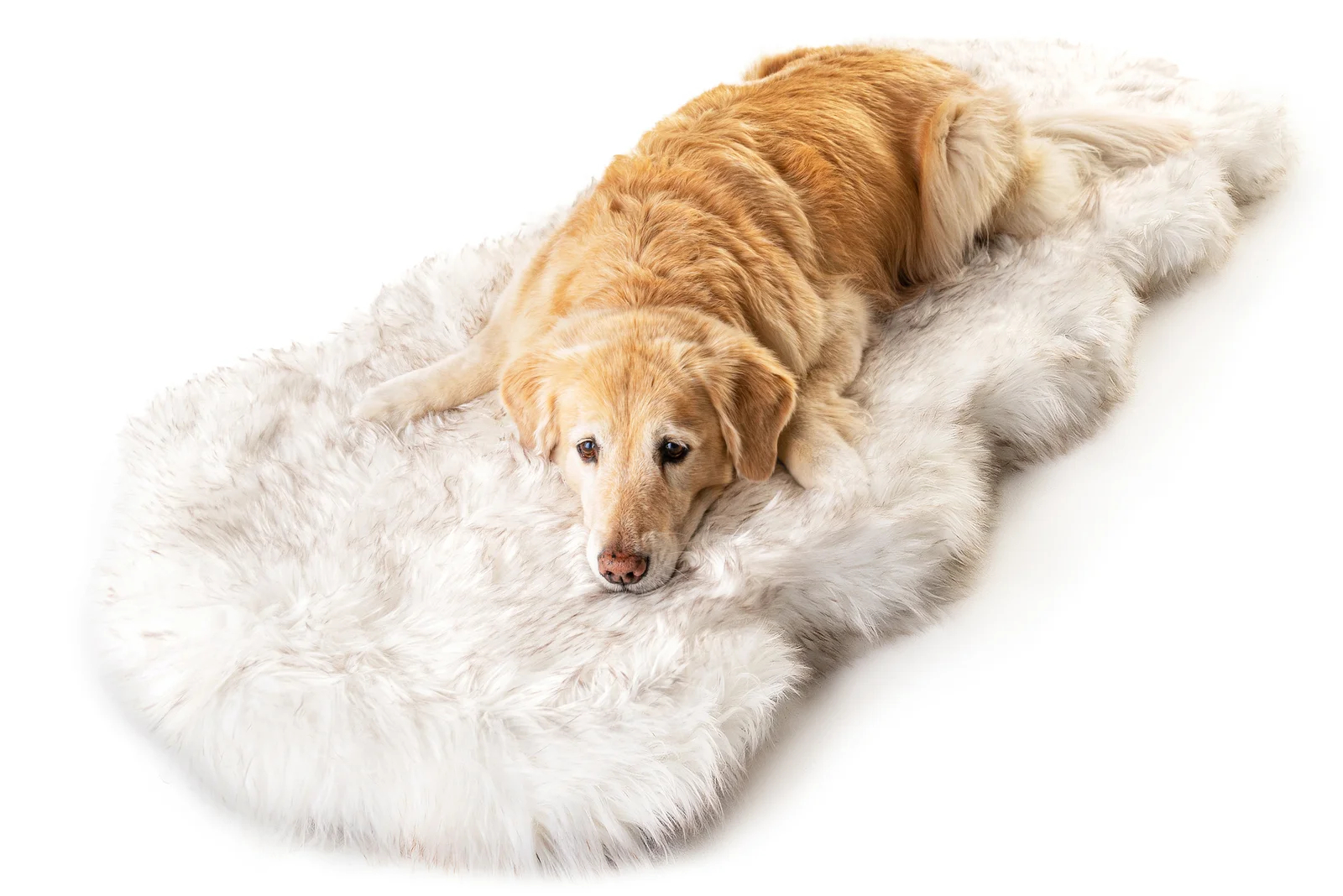 预发布站点、【Pet】Pretor Puprug Runner Faux Fur Memory Foam Dog Curve Mat、-12345