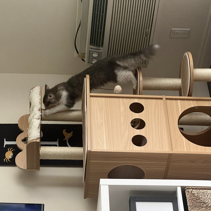 预发布站点、【Pet】47" Wooden Luxury Cat Tree、-12345