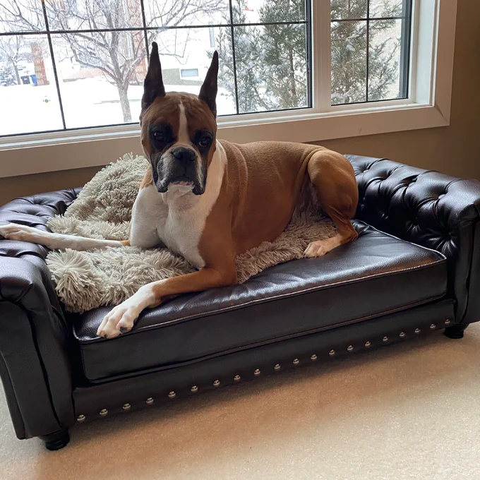 预发布站点、【Pet】Larock Dog Sofa、-12345