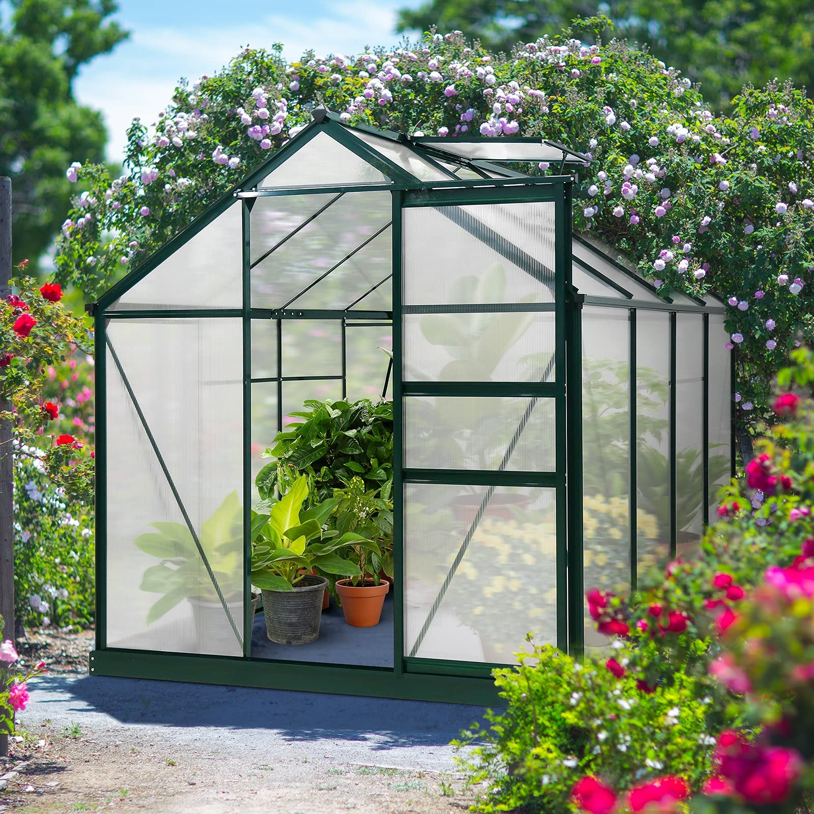 预发布站点、【Home&Garden】6' x 8' x 7' Outdoor Walk-in Hobby Greenhouse with Sliding Door & Ventilation Window、mysite-12345