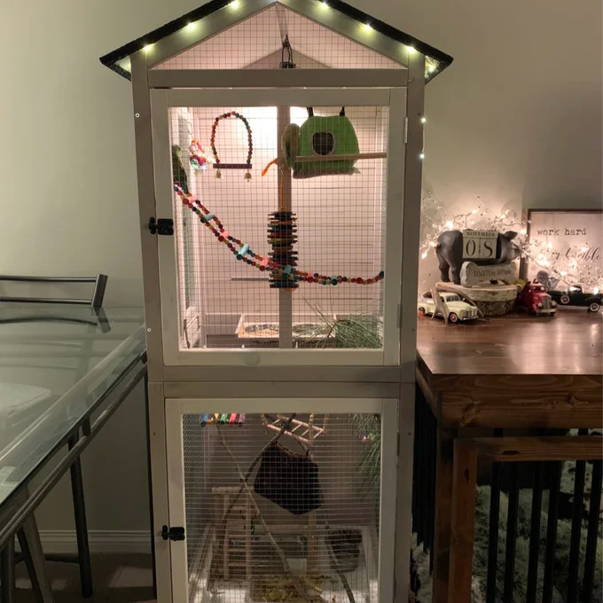预发布站点、【Pet】Freddy 70'' Pointed Top Flight Cage with Stand、-12345