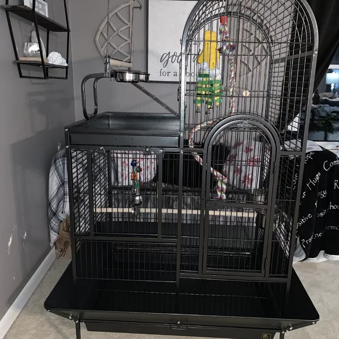 预发布站点、【Pet】Nickelson 66'' Steel Play Top Floor Bird Cage with Wheels、-12345