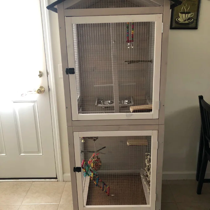 预发布站点、【Pet】Freddy 70'' Pointed Top Flight Cage with Stand、-12345